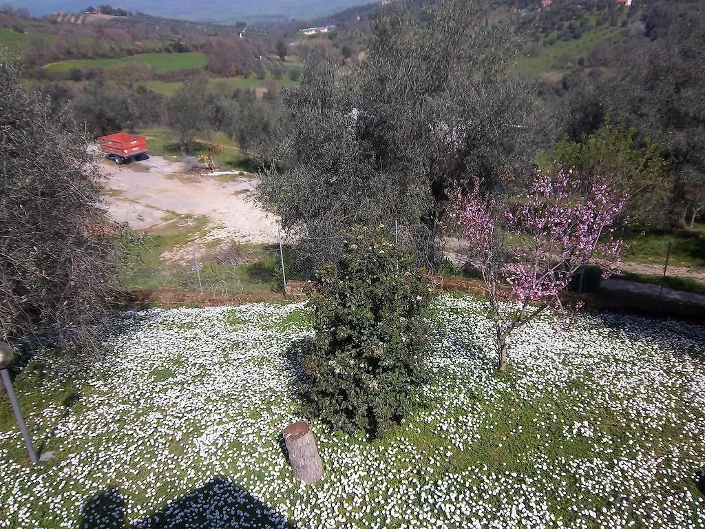 Casa rural Agriturismo Norianino Montemerano