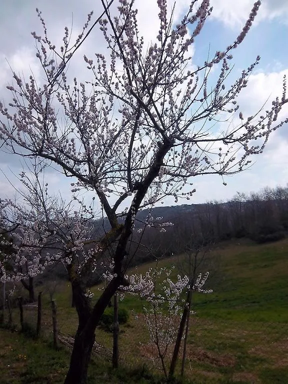 Agriturismo Norianino Montemerano Séjour à la campagne